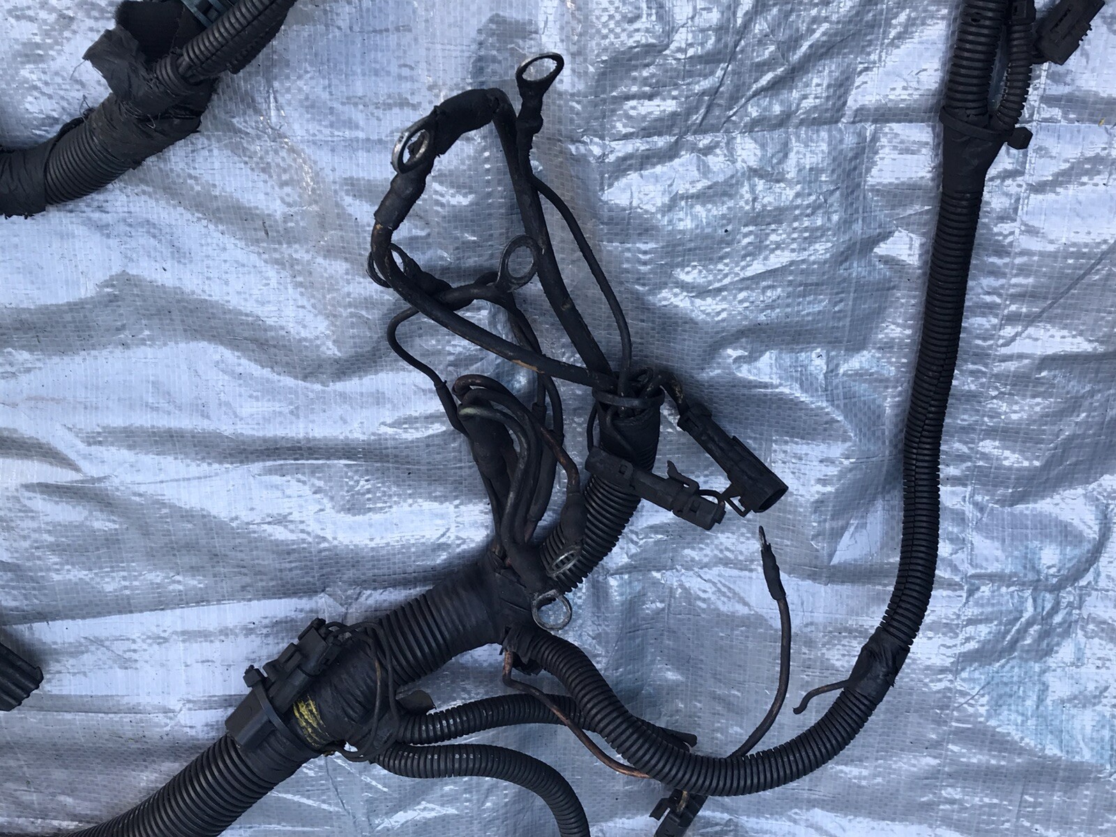 Vintage International 4700 DT466E Engine Harness READ DESCRIPTION