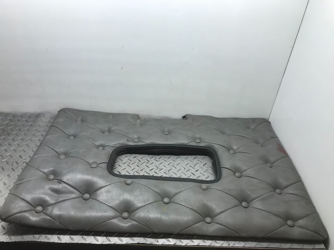 Western star Interior Door Panel LH