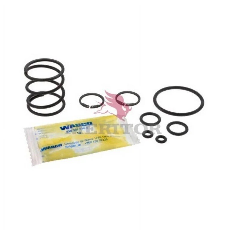 Meritor Wabco R955043 Right Piston Seals and Springs Kit / TWIN Models Cummins