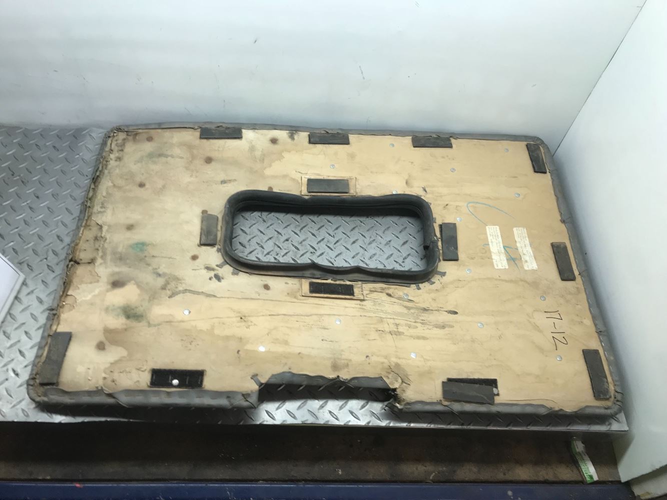 Western star Interior Door Panel LH
