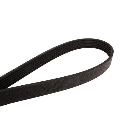 Continental Ag 4060842 Automotive Multi V Belt