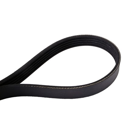 Continental Ag 4050590 Automotive Multi V Belt