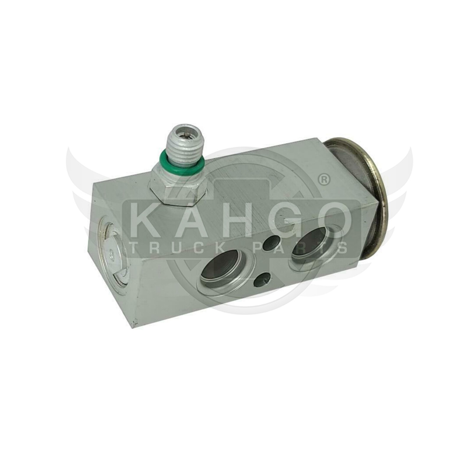 FLEETRITE INTERNATIONAL AC EXP VALVE FLTEVACK