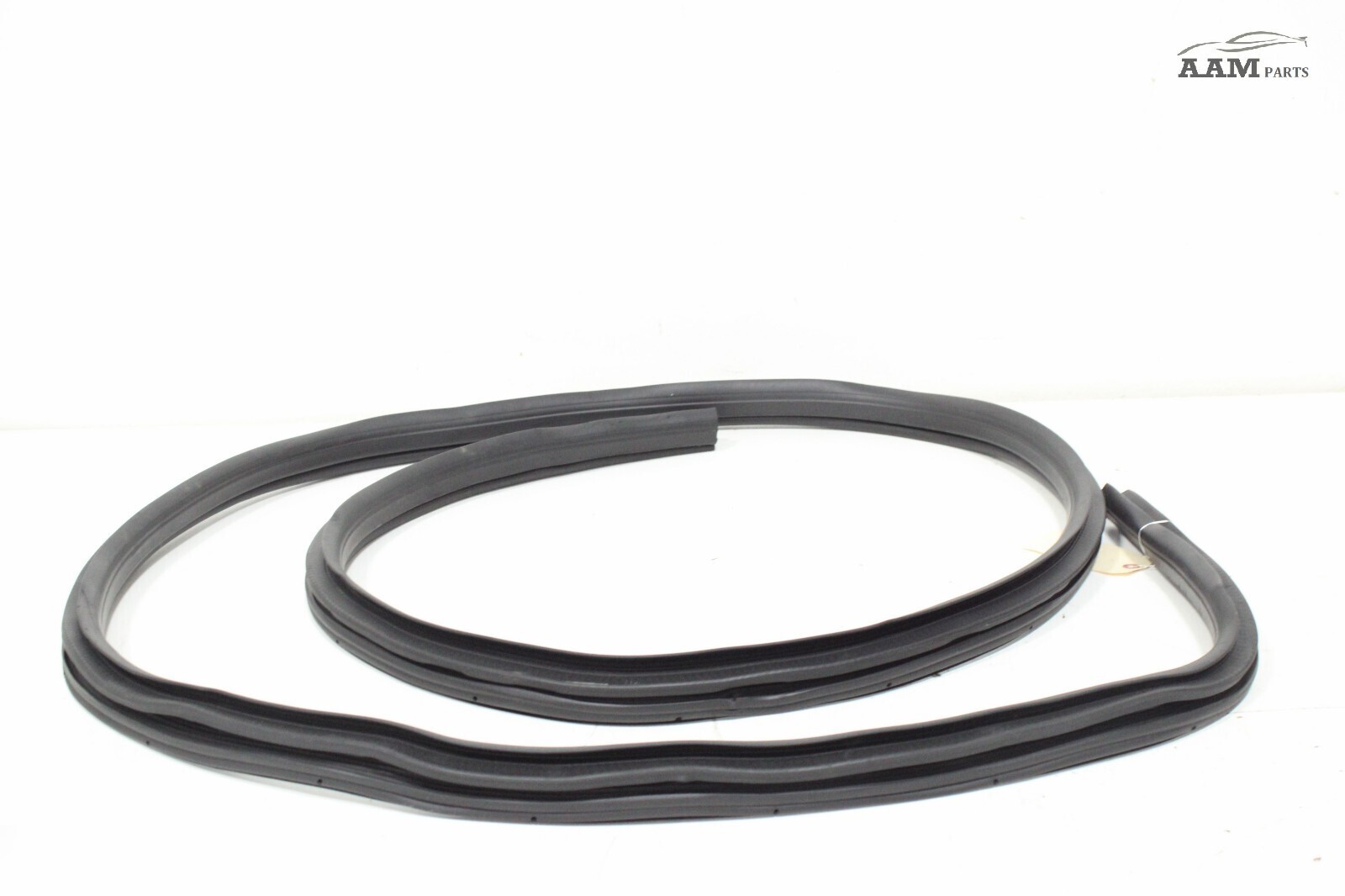 2018-2024 FREIGHTLINER CASCADIA FRONT RIGHT SIDE DOOR WEATHERSTRIP SEAL OEM