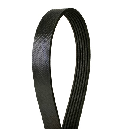 Continental Ag 4060842 Automotive Multi V Belt