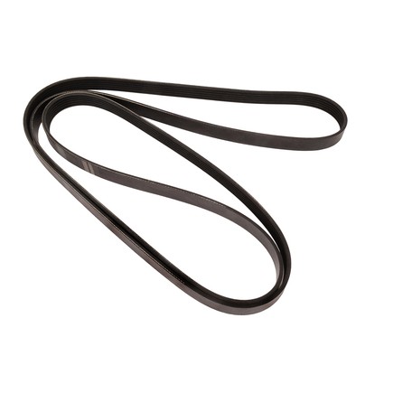 Continental Ag 4060842 Automotive Multi V Belt