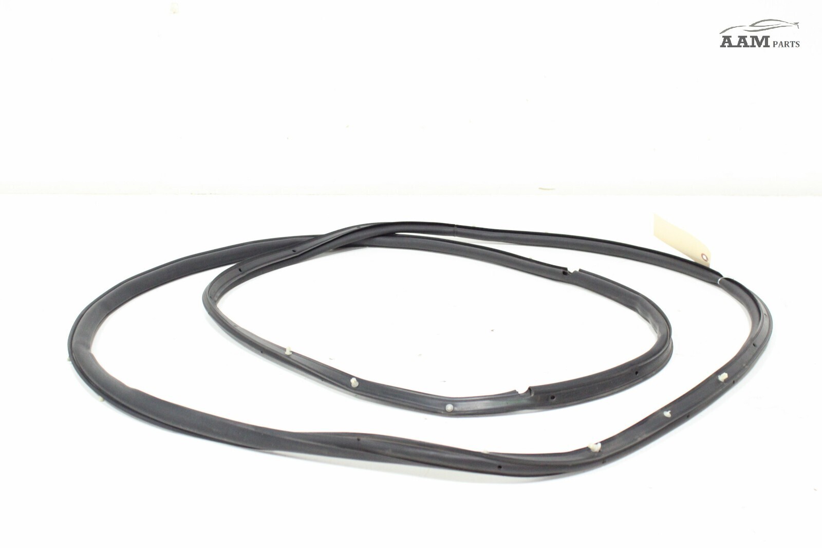 2018-24 FREIGHTLINER CASCADIA FRONT LEFT DRIVER SIDE DOOR WEATHERSTRIP SEAL OEM