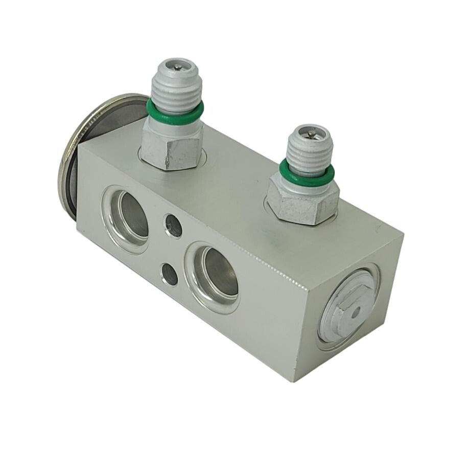 FLEETRITE INTERNATIONAL EXP VALVE FLTEV2501794