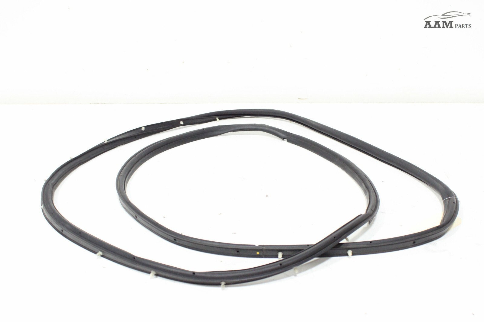 2018-24 FREIGHTLINER CASCADIA FRONT LEFT DRIVER SIDE DOOR WEATHERSTRIP SEAL OEM