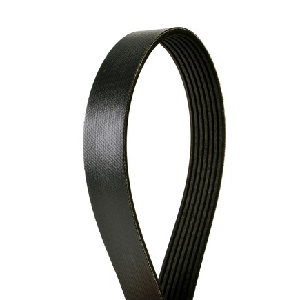 Continental Ag 4070508 Automotive Multi V Belt