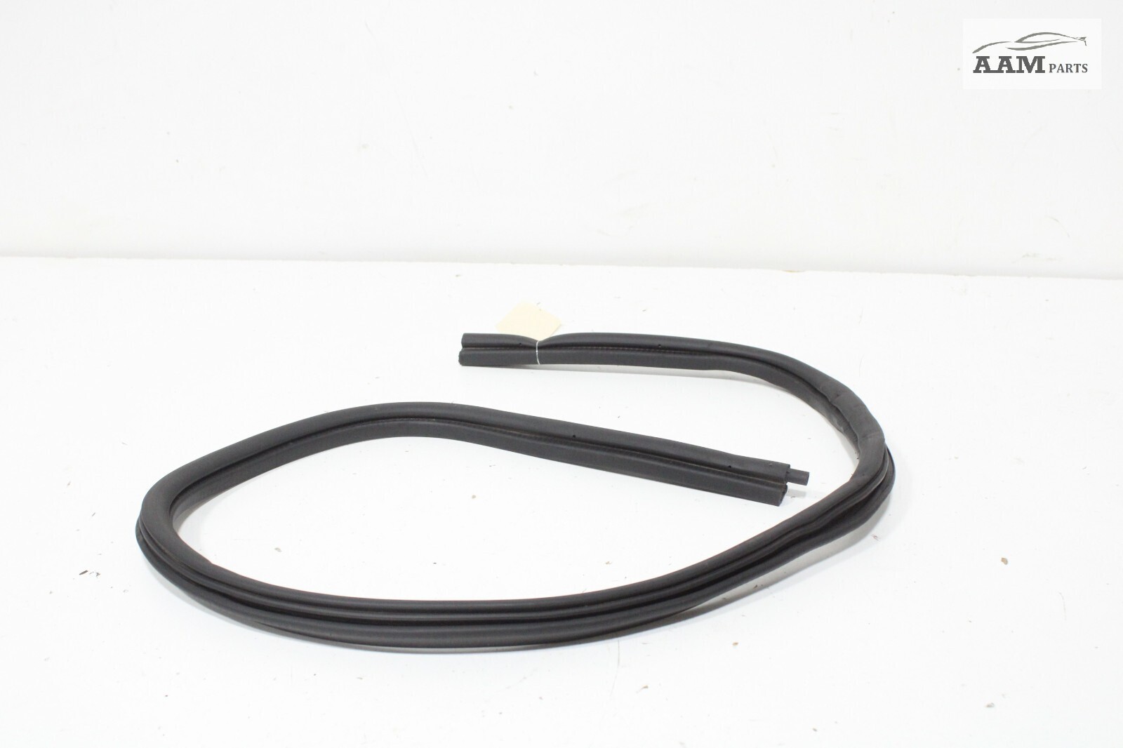 18-23 FREIGHTLINER CASCADIA REAR RIGHT PASSENGER SIDE WEATHERSTRIP SEAL OEM