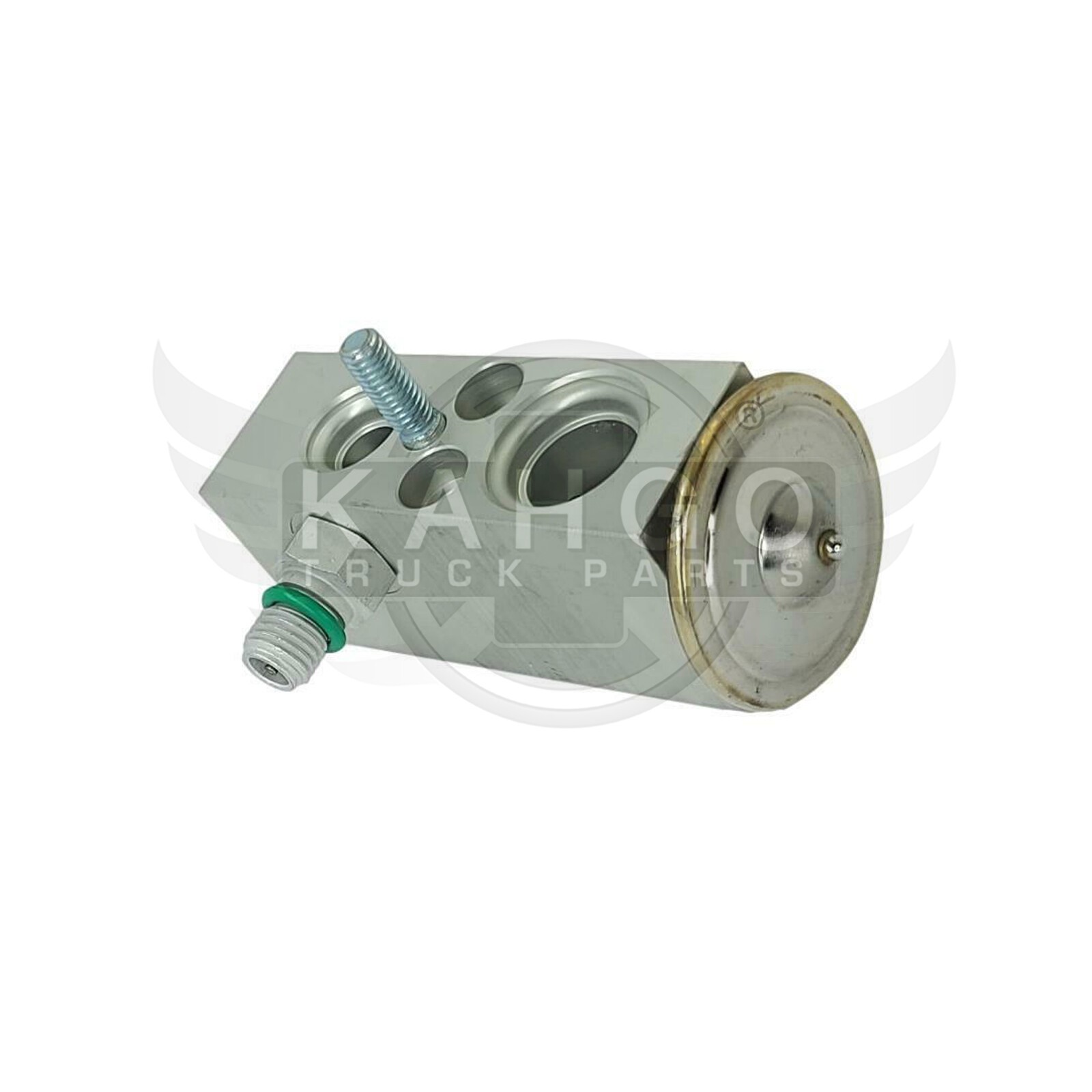 FLEETRITE INTERNATIONAL AC EXP VALVE FLTEVACK