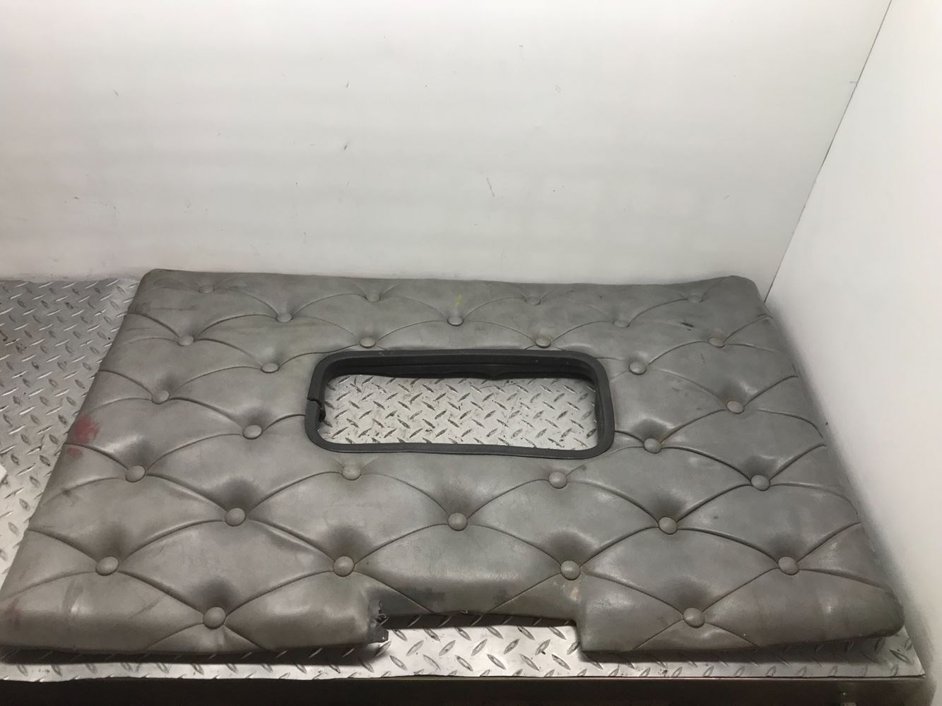 Western star Interior Door Panel LH