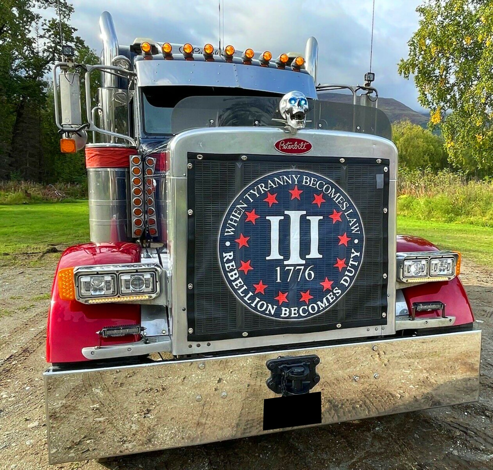 Peterbilt 357/375/377/378/379 Short Hood Premium Custom Bug Screen BS-379-Custom