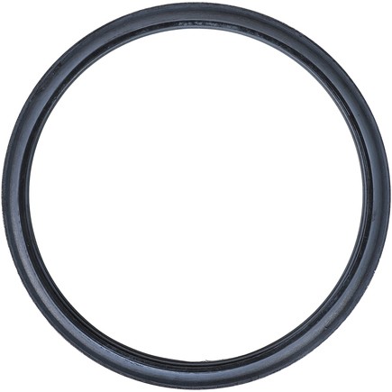 Dana 813980000 Drive Shaft Seal