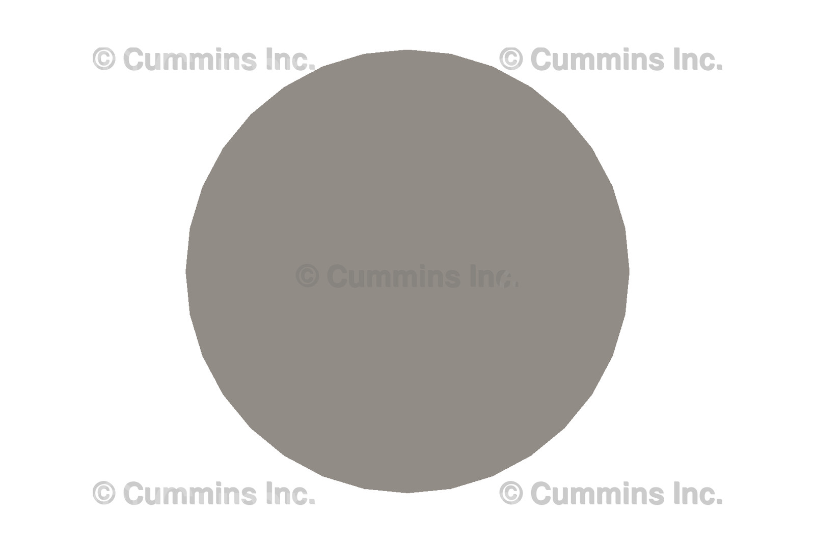 CUMMINS PLUNGER,GOVERNOR 102511