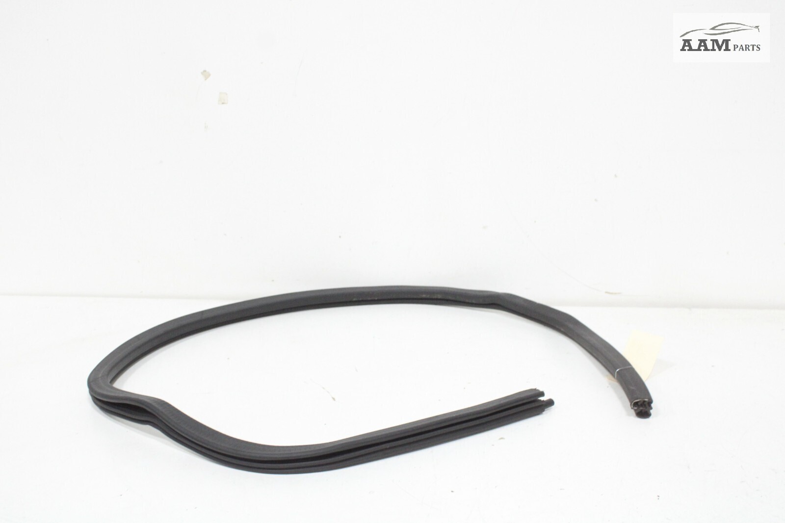 2018-2024 FREIGHTLINER CASCADIA REAR RIGHT SIDE DOOR WEATHERSTRIP SEAL OEM