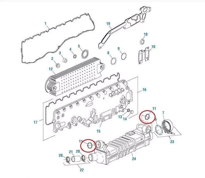 Volvo/Mack EGR Coolant Sealing Ring 1547253 SET OF 2