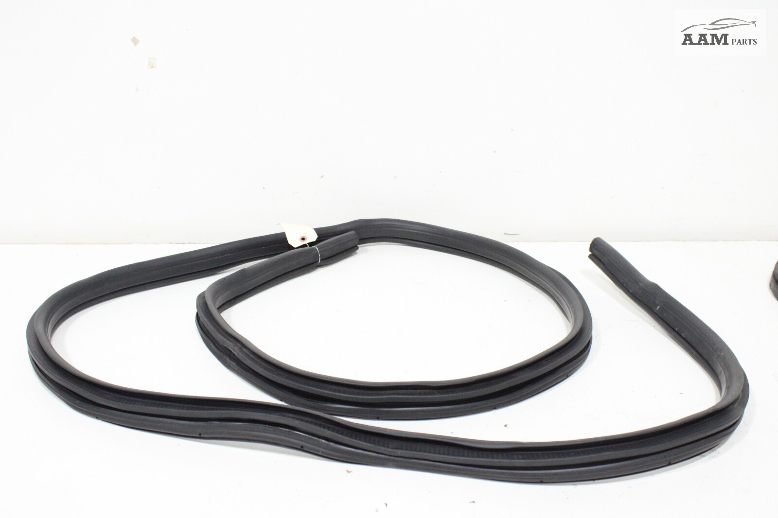 2018-2024 FREIGHTLINER CASCADIA FRONT LEFT SIDE DOOR WEATHERSTRIP SEAL OEM