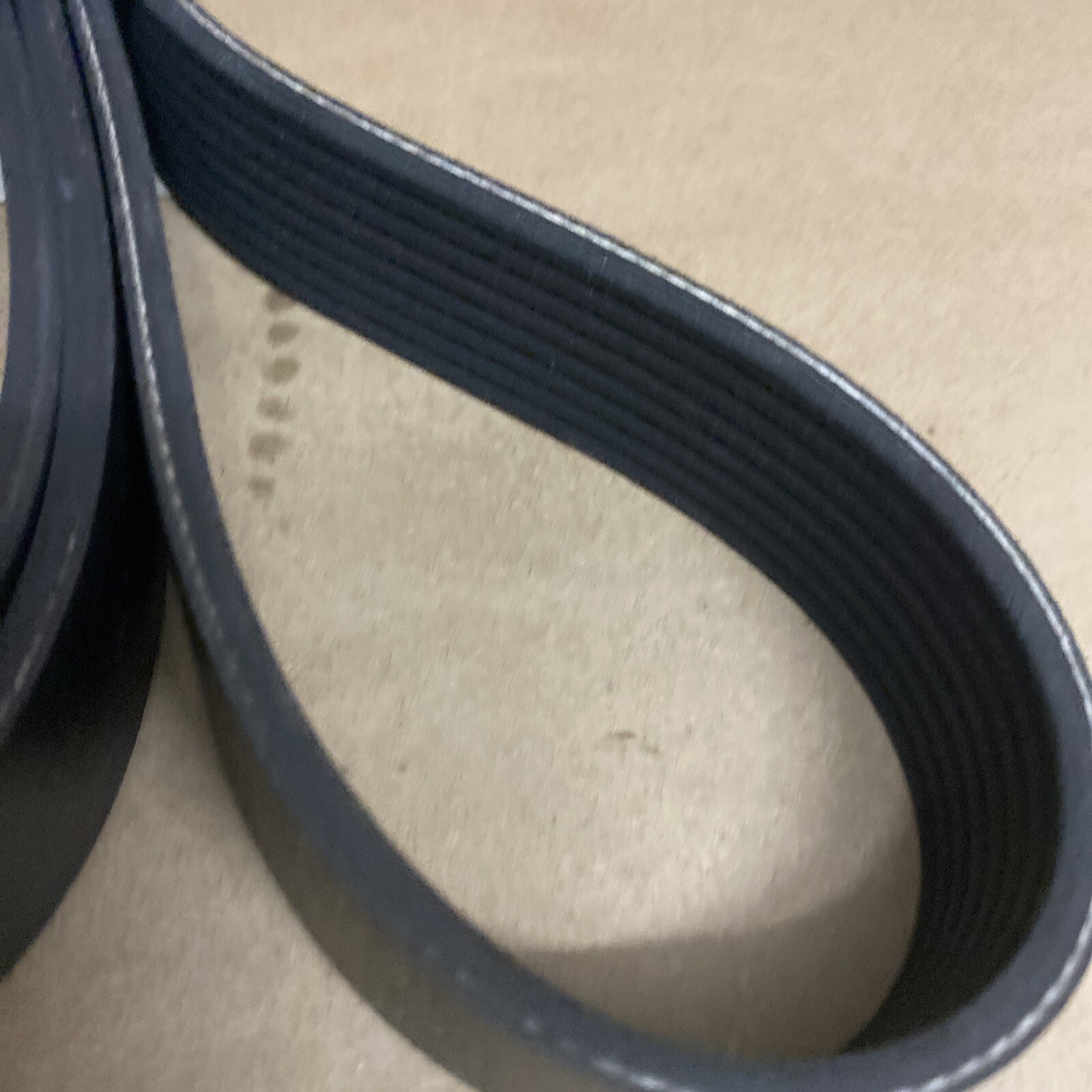 IH International Genuine OEM Fleetrite Serpentine Belt 4058606C1