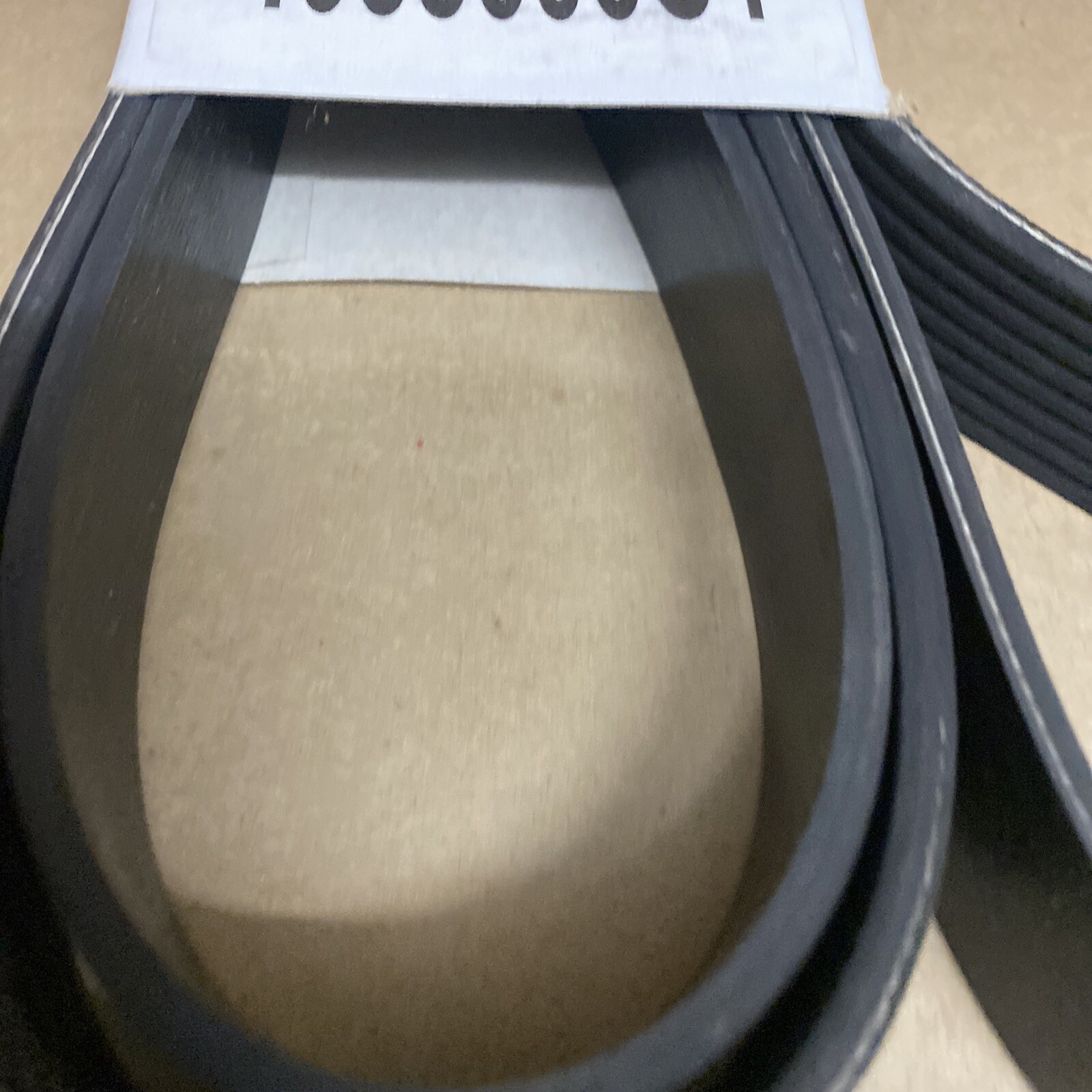 IH International Genuine OEM Fleetrite Serpentine Belt 4058606C1