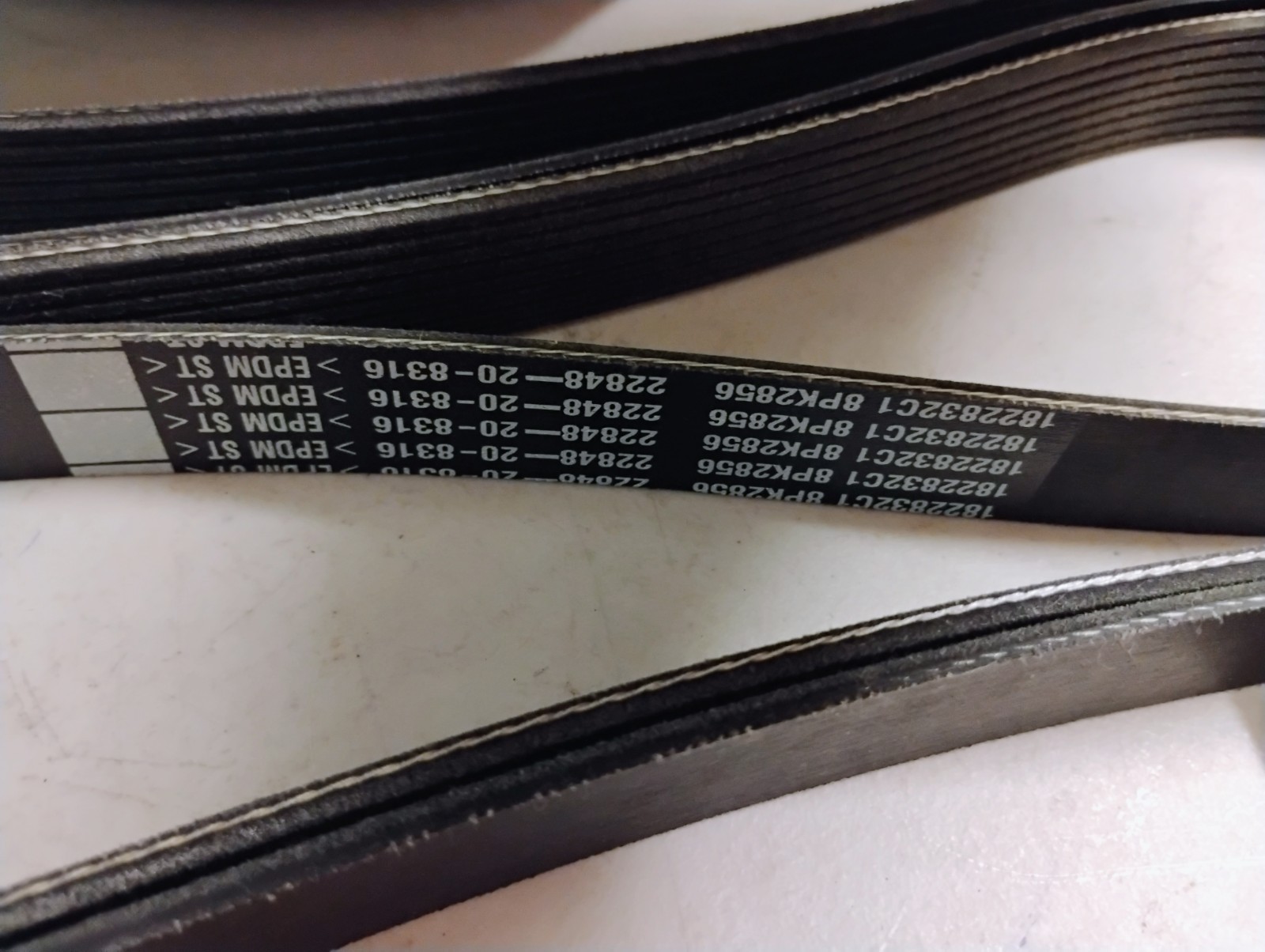 NOS International FLEETRITE MULTIGROOVE SERPERTINE BELT 1822832C1 8PK2856
