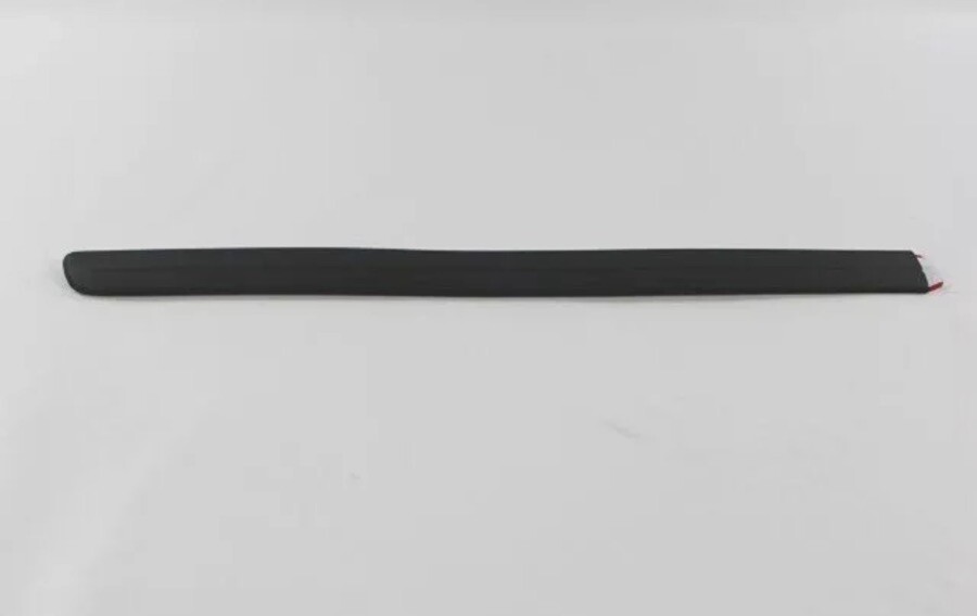 Genuine Mopar WV93TZZAA Front Door Molding 2004-2007 Caravan/ Town & Country