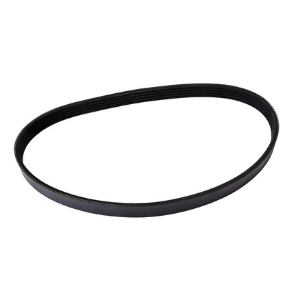 Continental Ag 4050590 Automotive Multi V Belt