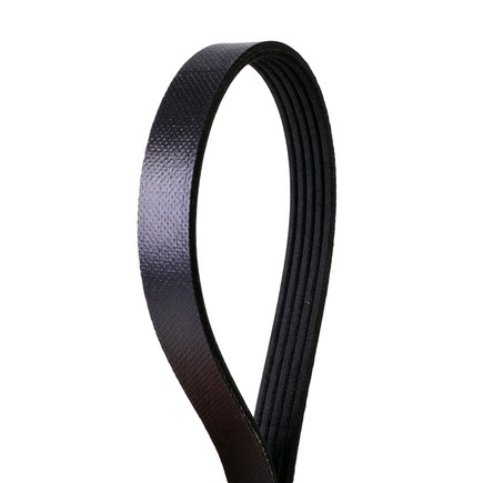 Continental Ag 4050590 Automotive Multi V Belt