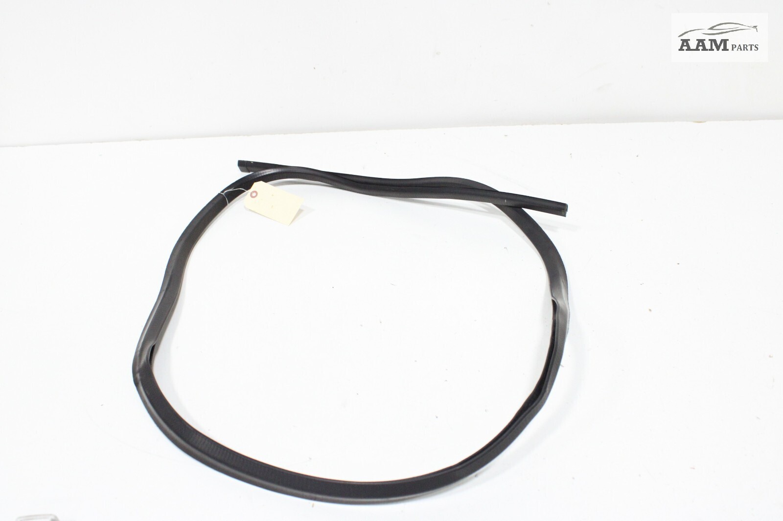 19-23 VOLVO VNL 760 FRONT LEFT DRIVER SIDE WEATHERSTRIP SEAL OEM