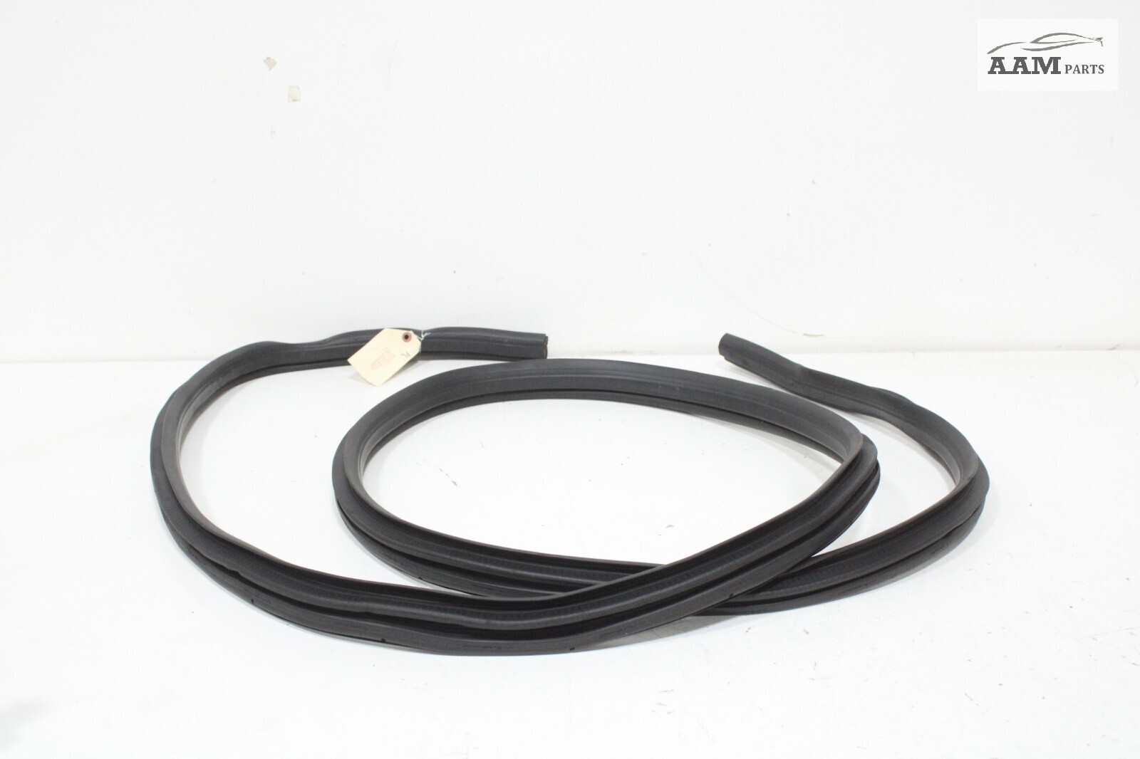 2018-2024 FREIGHTLINER CASCADIA FRONT LEFT DRIVER DOOR WEATHERSTRIP SEAL OEM